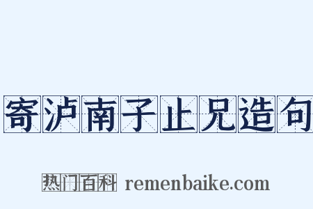 寄泸南子止兄造句是什么意思的图片